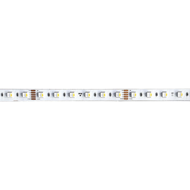 DAIKON RGB + WHITE